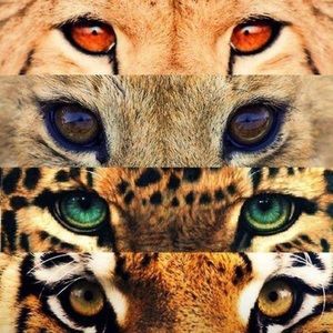 Meet your Posher, Melisa